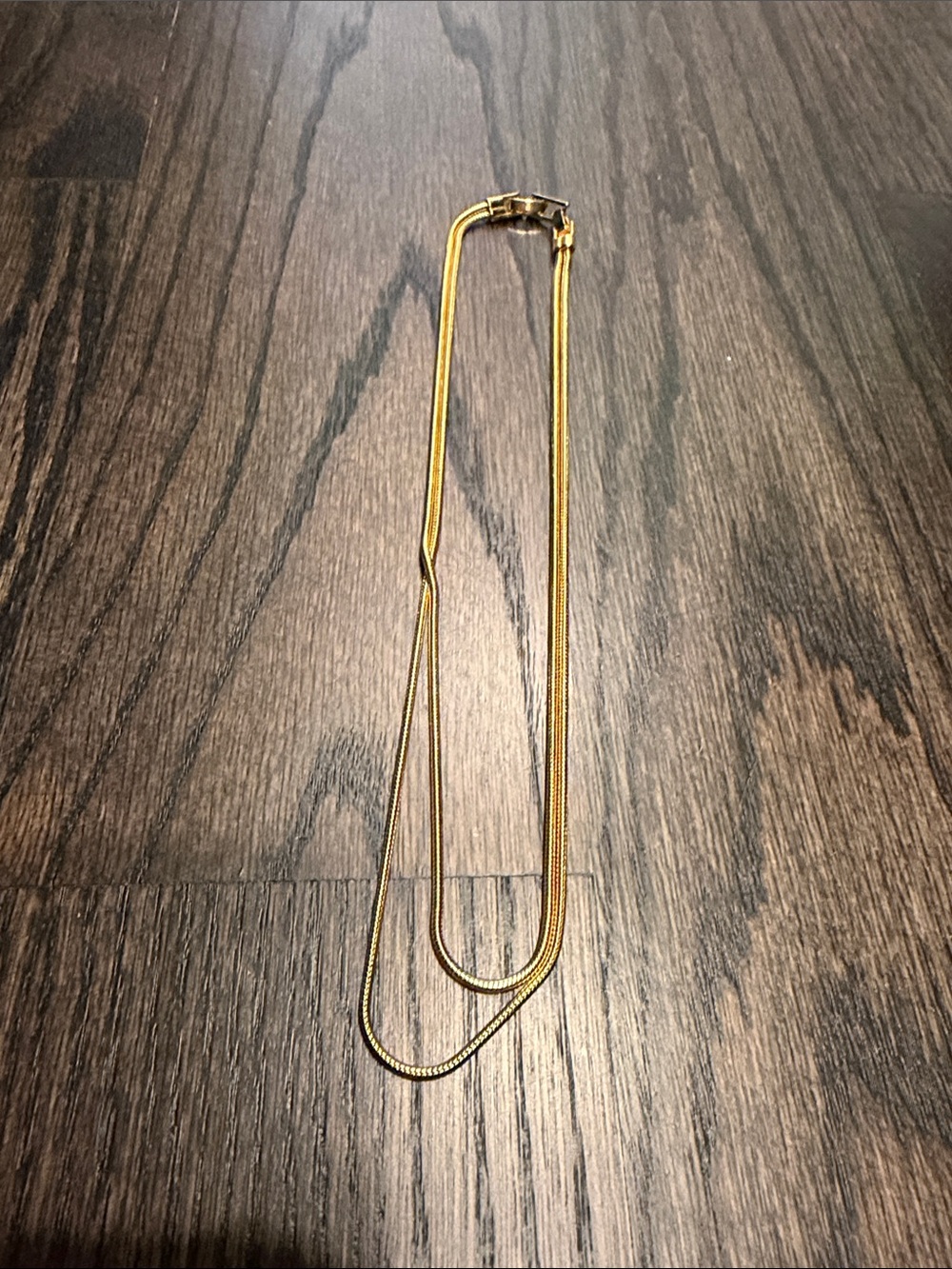 J Crew Double Strand Gold Necklace